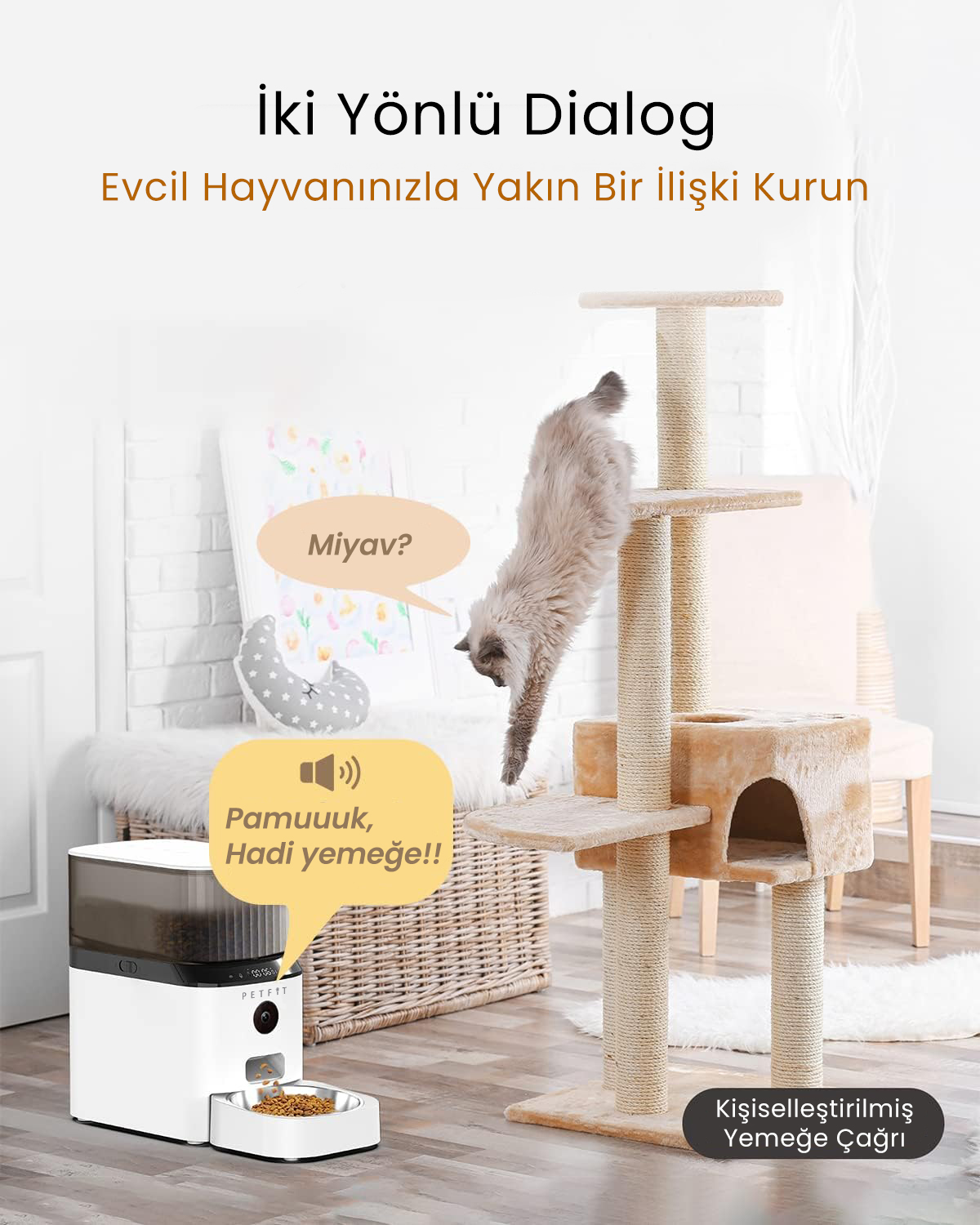 PETFİT