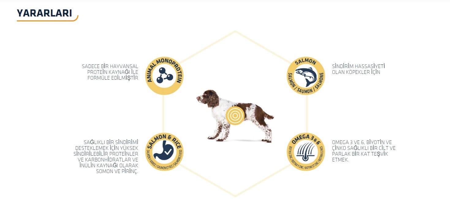 Advance Sensitive Somonlu Hassas Yetişkin Köpek Maması