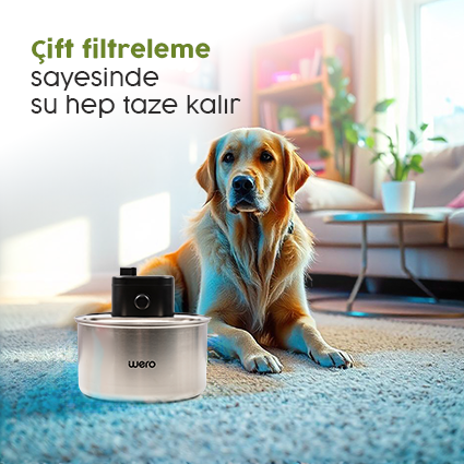 Çift Filtreleme