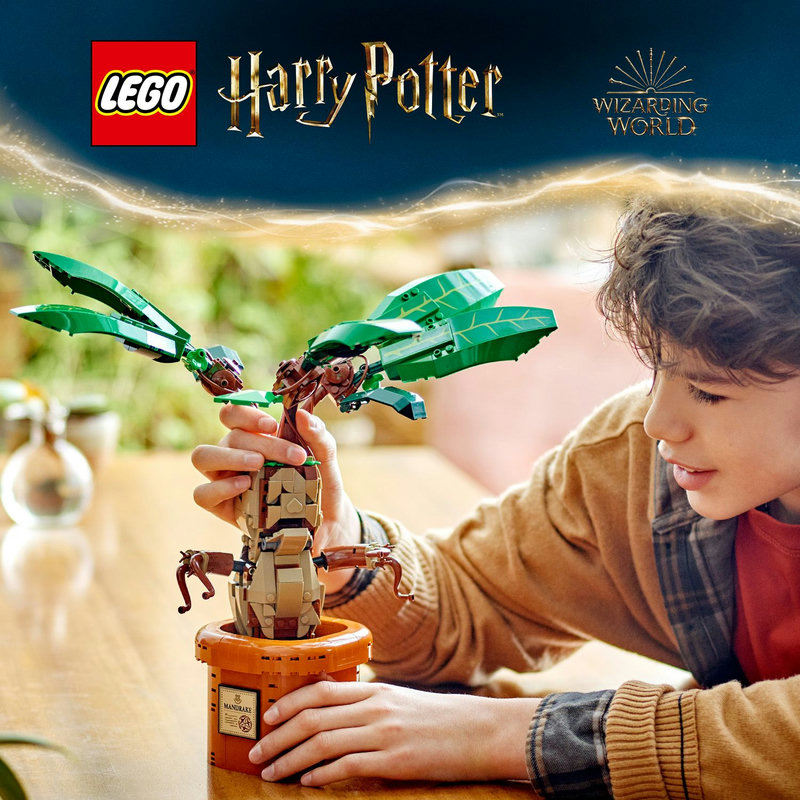 Çocuklar için LEGO® Harry Potter™ Adamotu oyuncağı