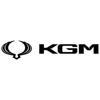 SsangYong OEM Marka Logosu