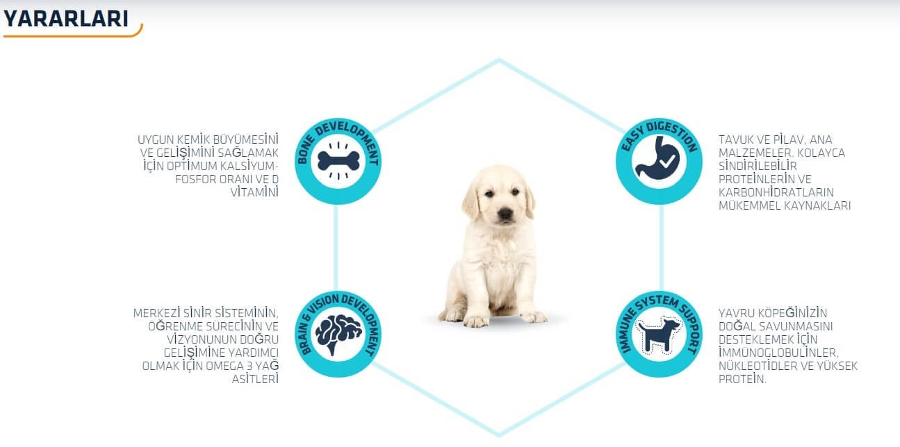 < < Önceki Sayfaya Dön Advance Puppy Maxi Tavuklu Büyük Irk Yavru Köpek Maması 