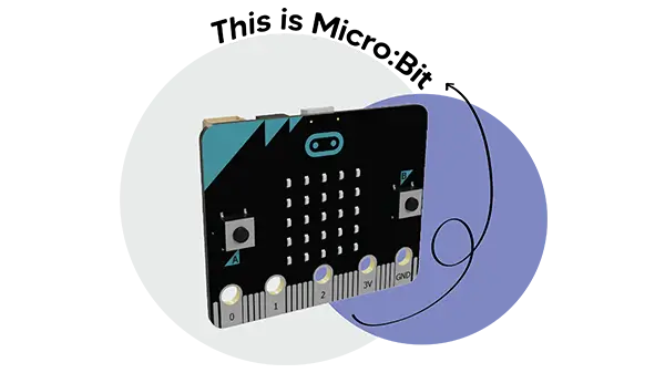 PicoBricks Teknoloji Ödül Kiti Görseli