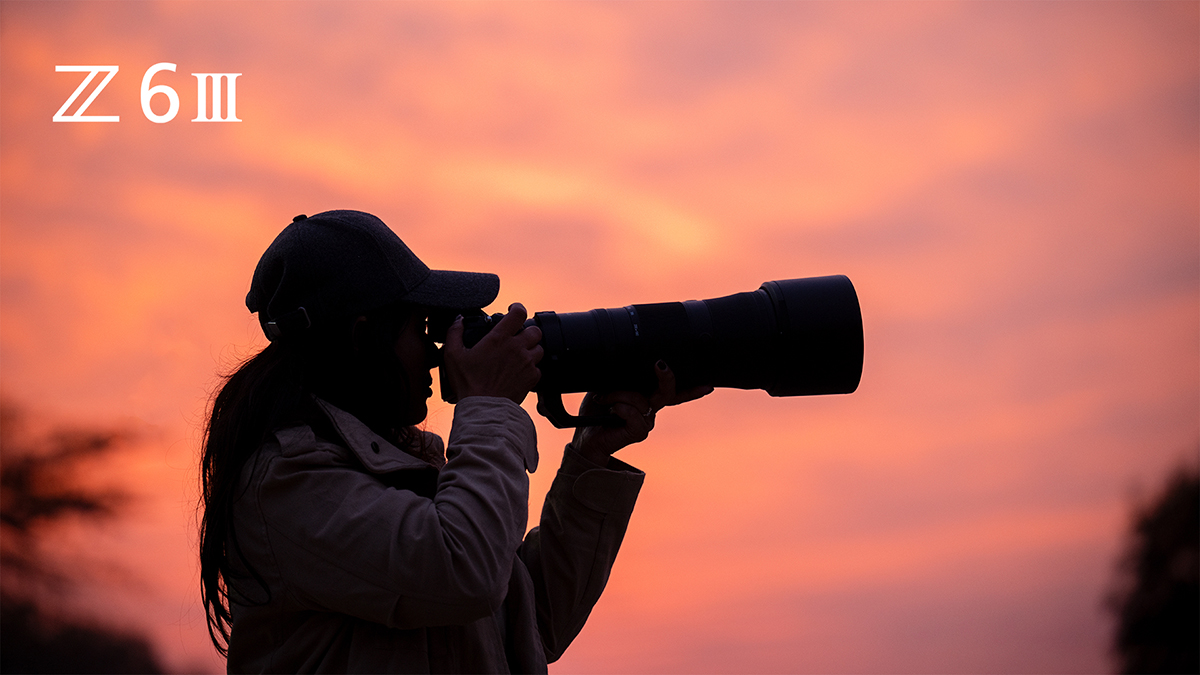 Z 6III