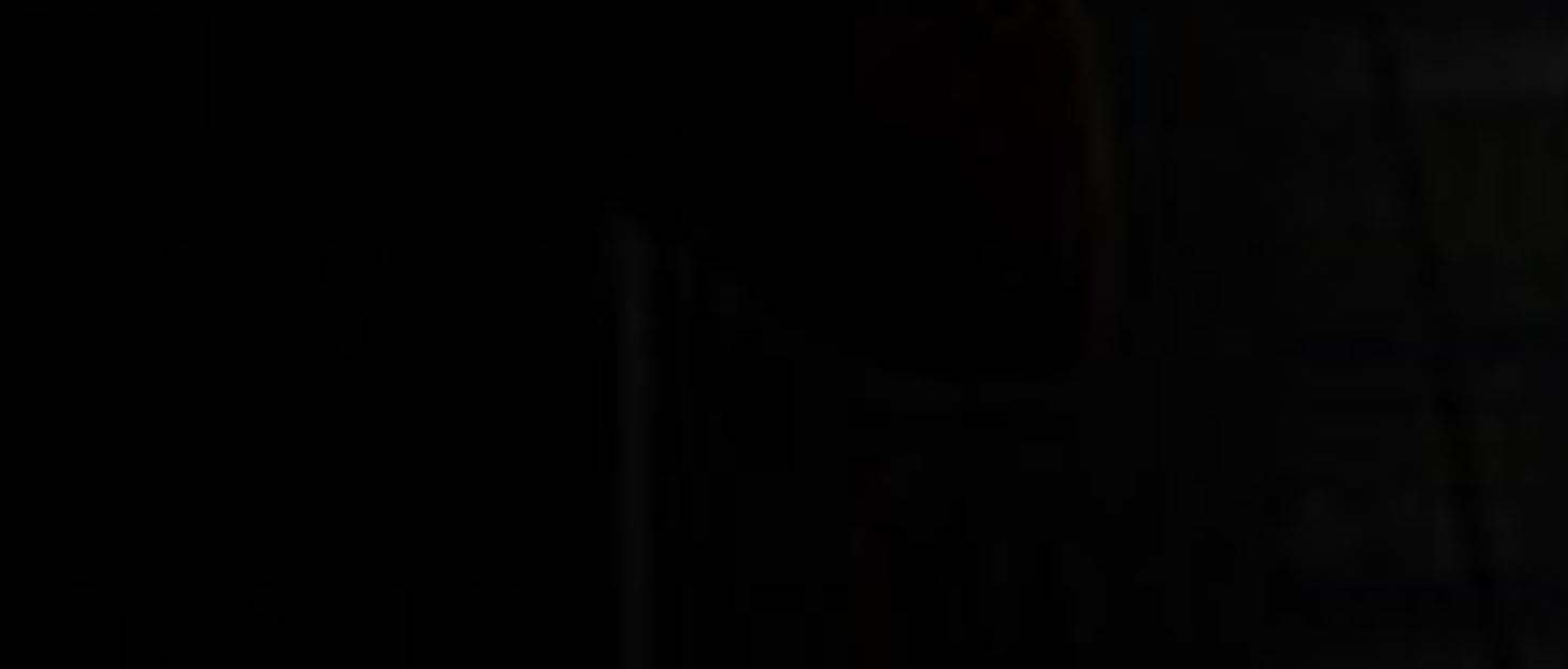 bir direğin parçası