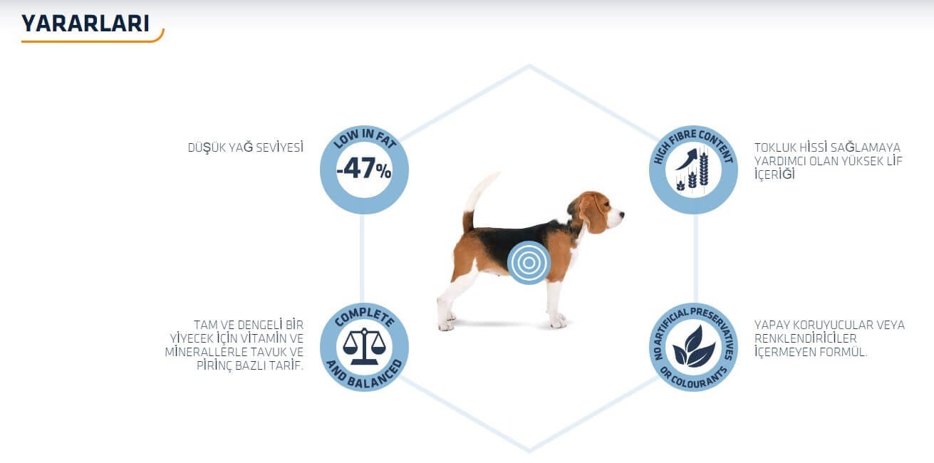 Advance Light Medium Tavuklu Orta Irk Diyet Köpek Maması