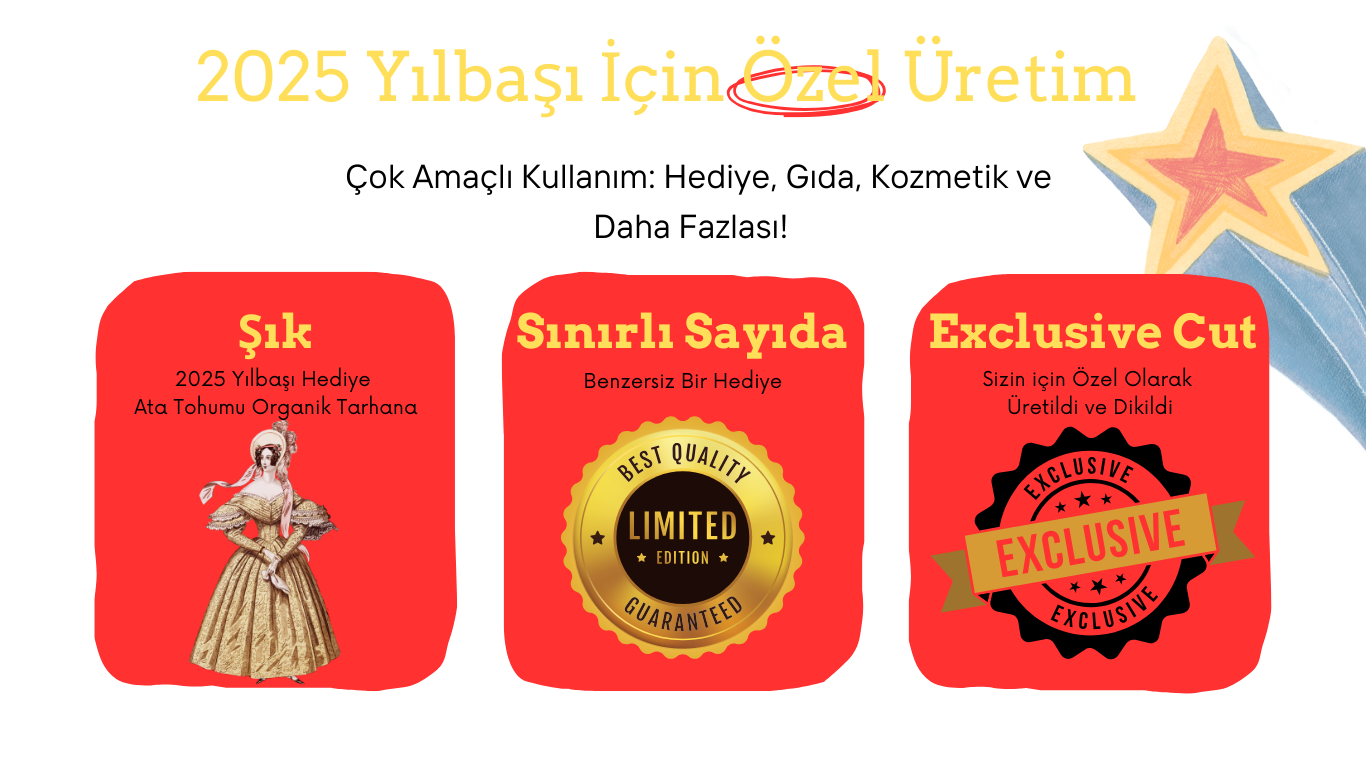 Köy Tarhana 4