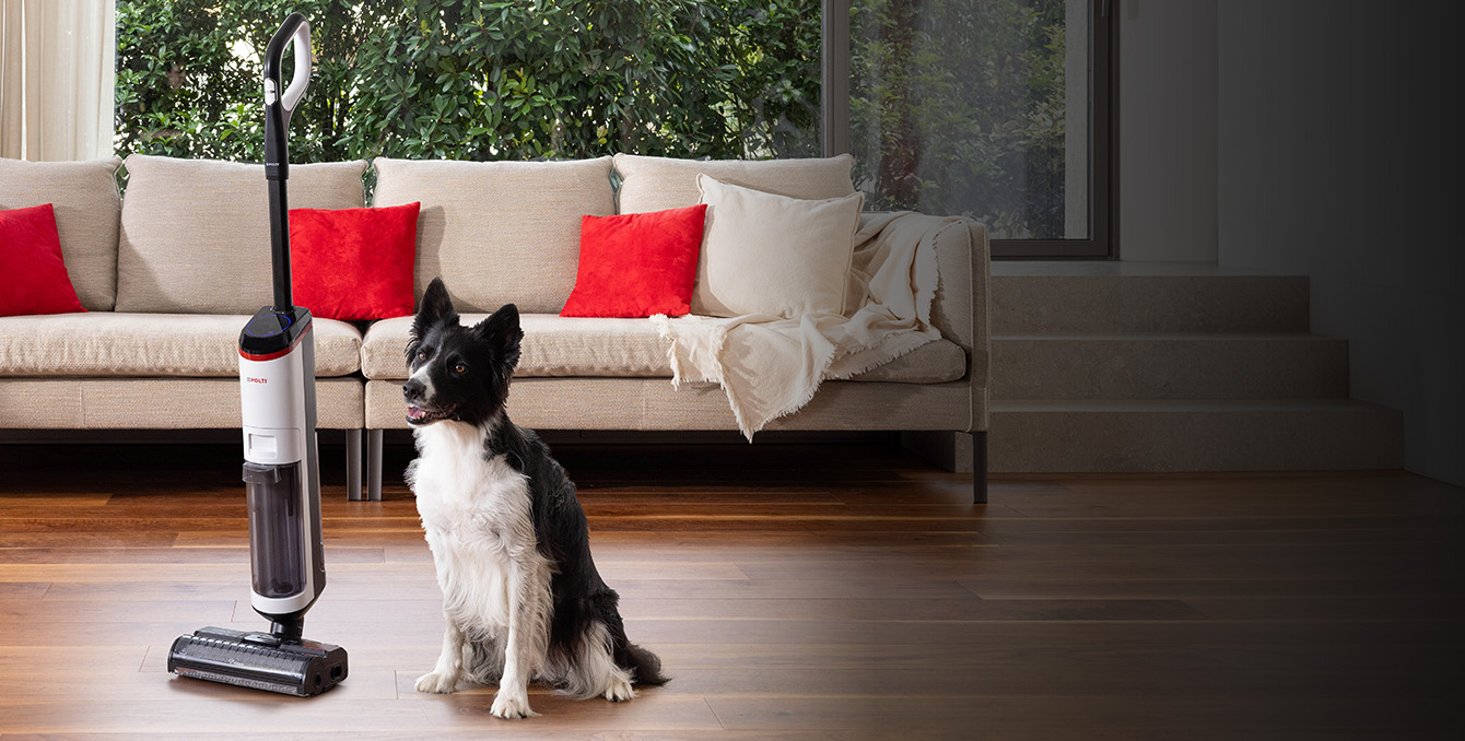 polti sani system gun ddv