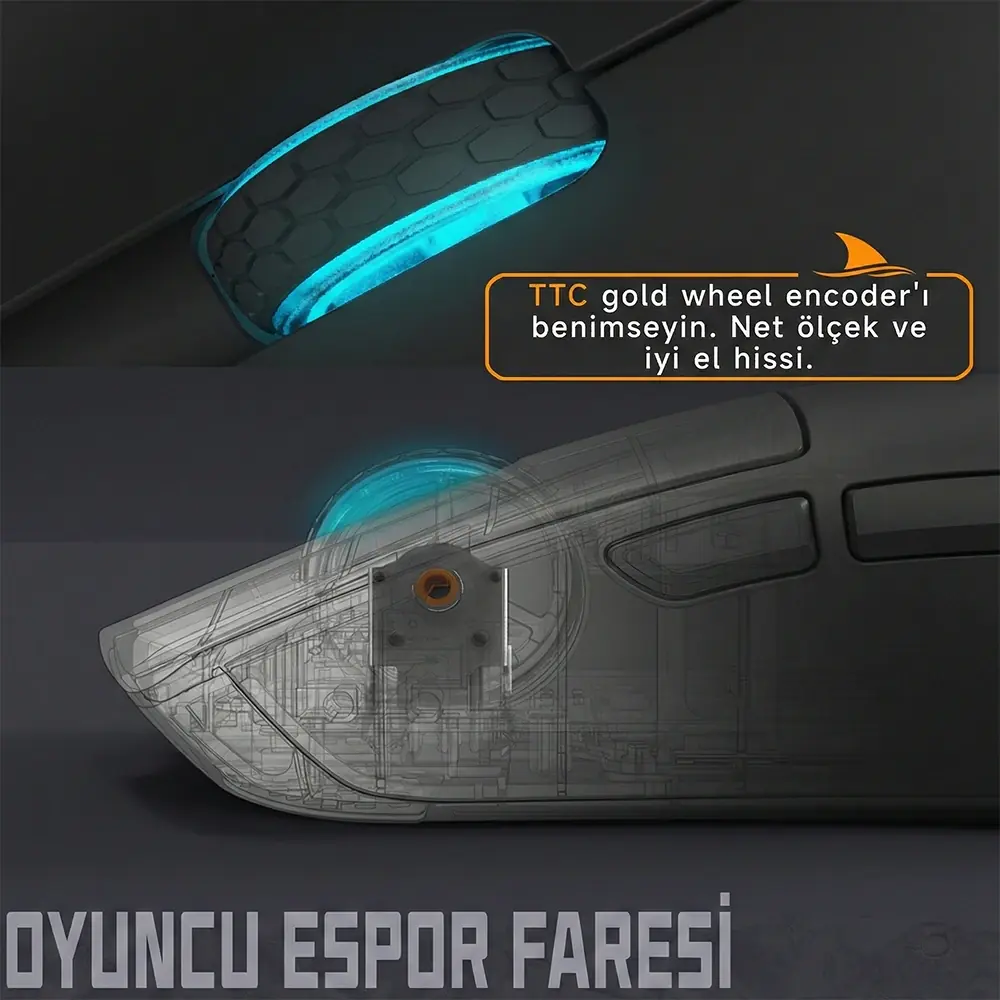 Switches and Battery