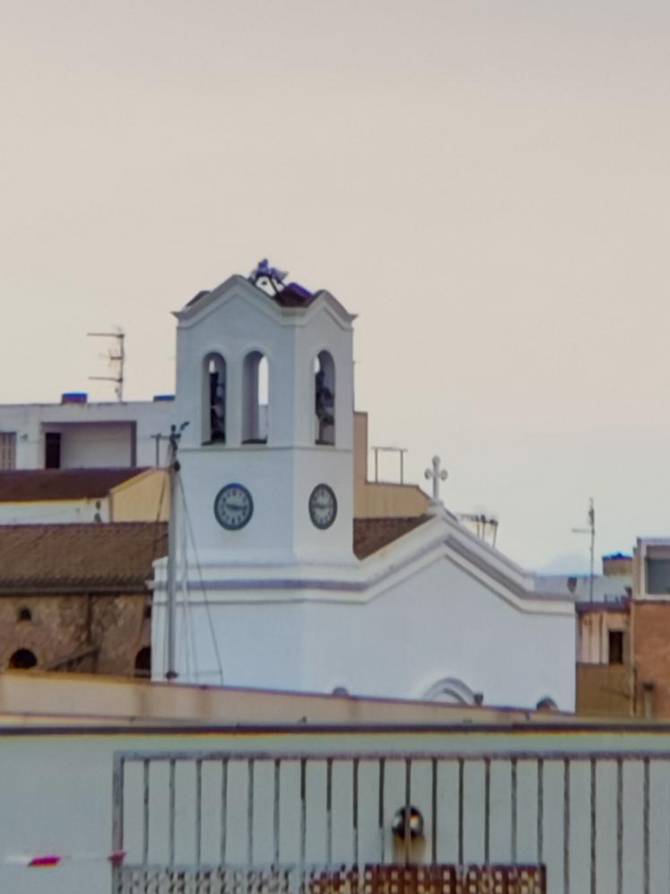 Bell Tower Realme13 Pro+ kamera 6X Apexel Telemacro ile