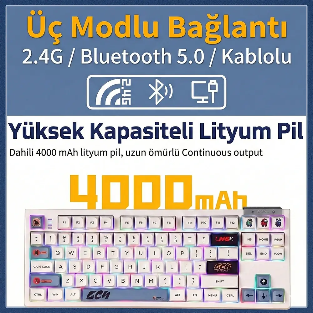 Battery and Connectivity