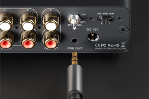 Fosi Audio P4: Pre-out
