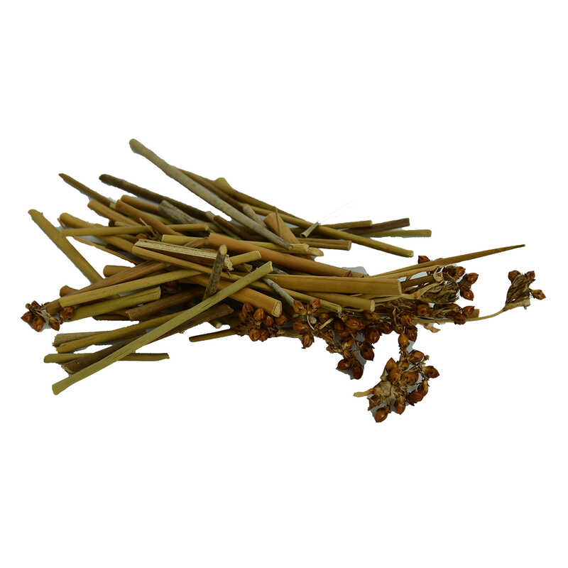 LOKMANAVM DOĞAL KAYIŞKIRAN OTU