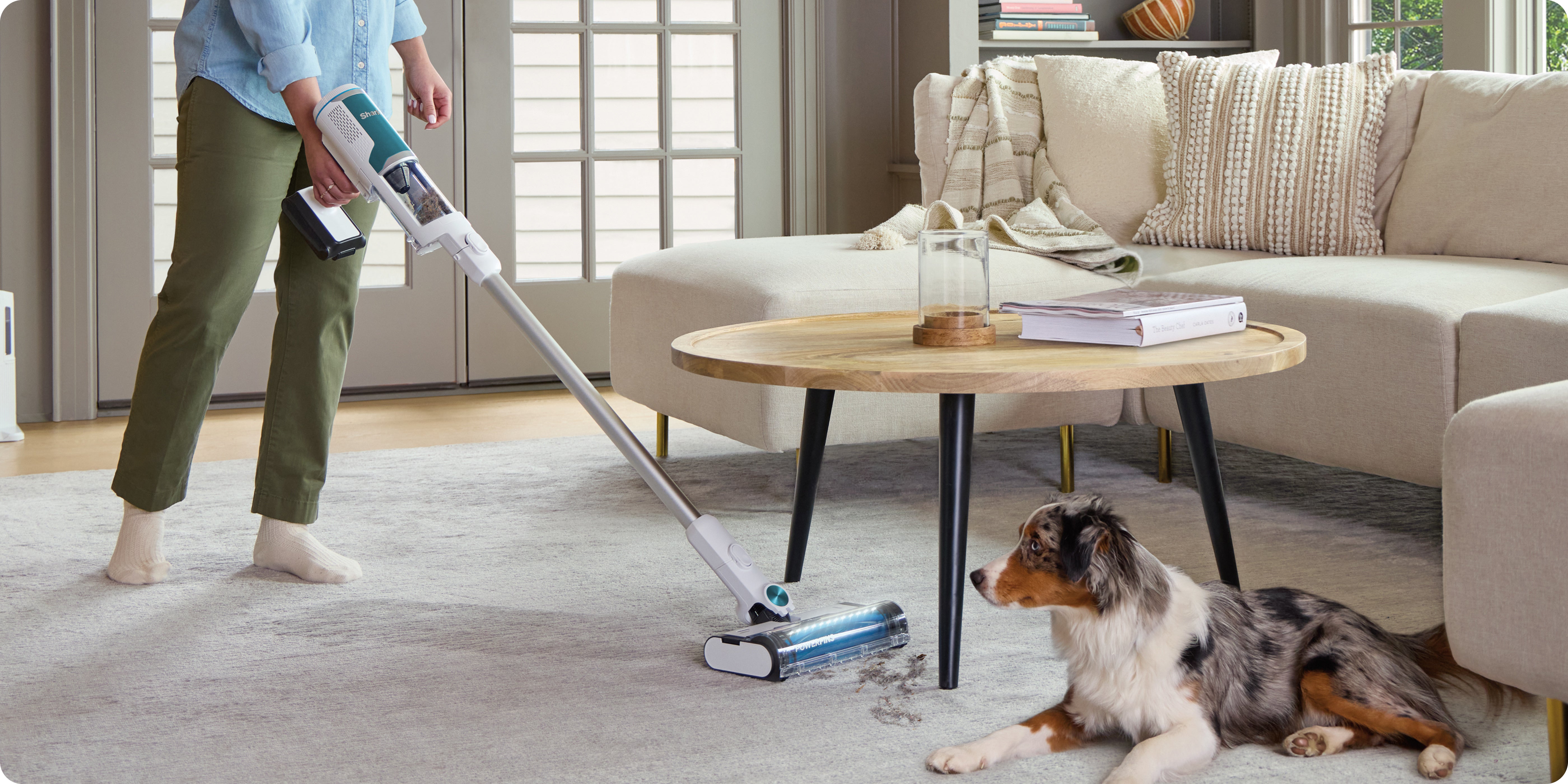 Vacuum cleaner being used in a modern living room, with a dog sitting on the carpet