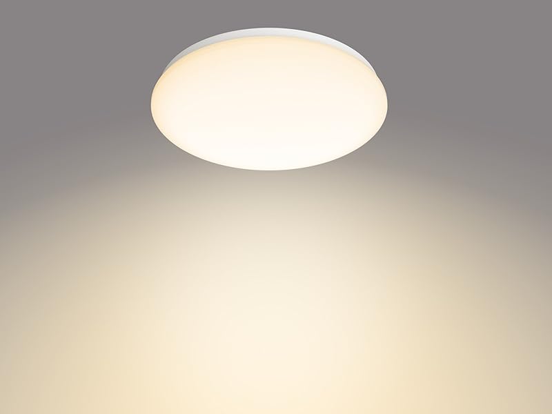 cl20