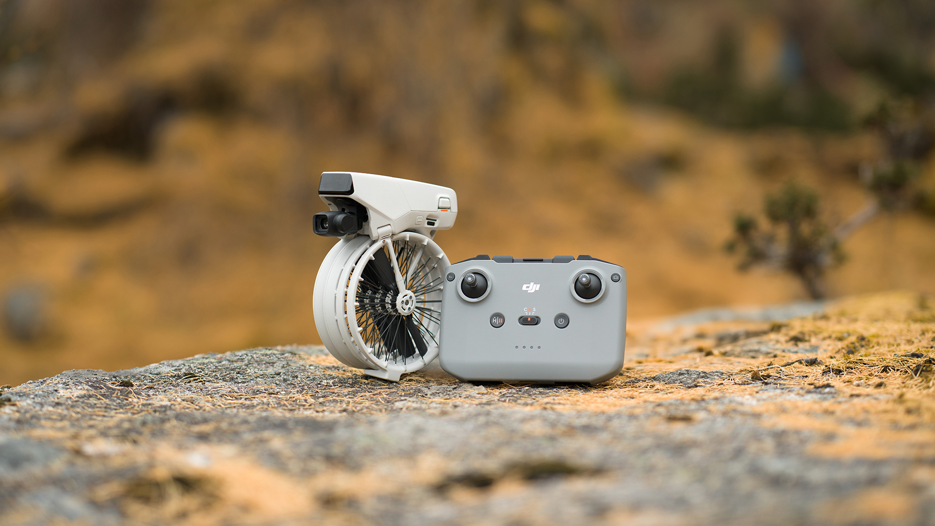 DJI Flip
