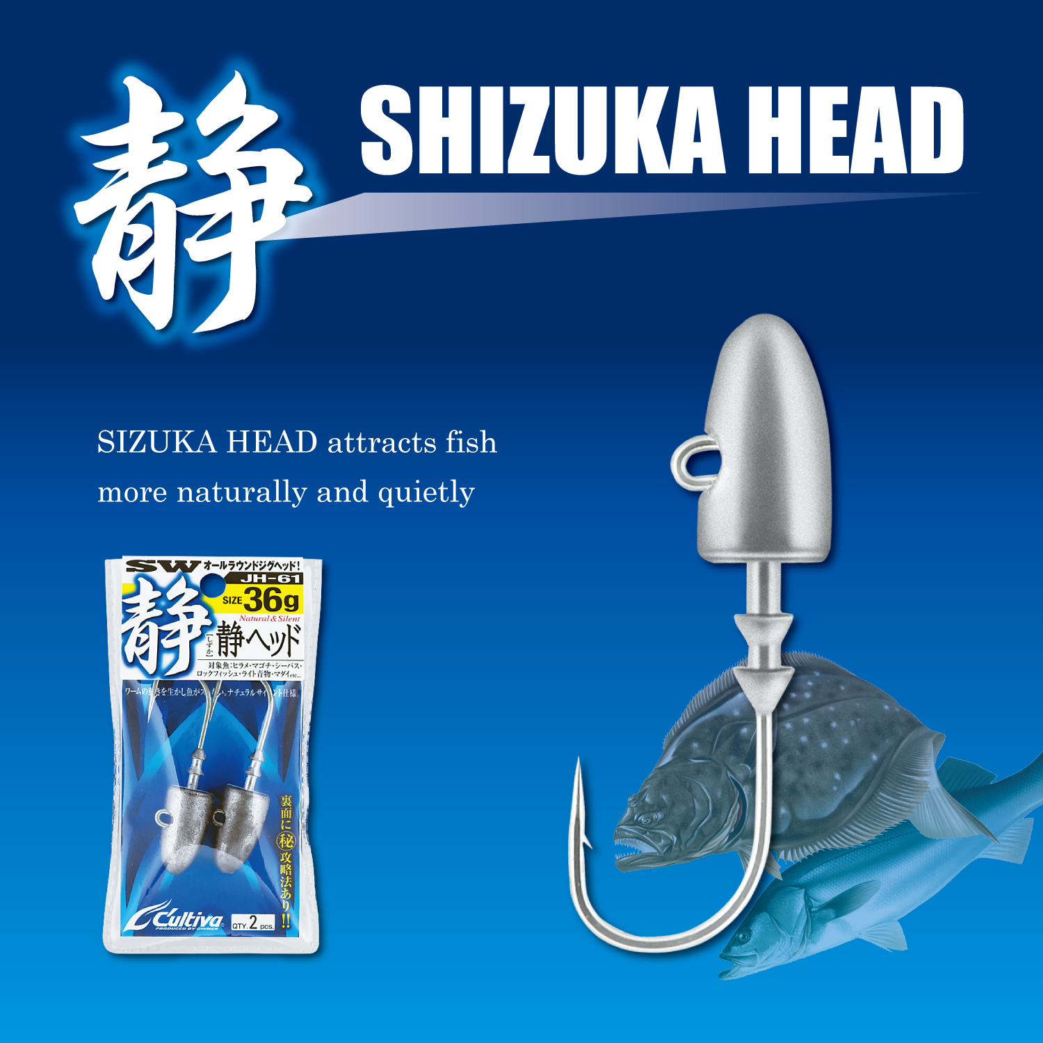 11682_01.jpg (699 KB)