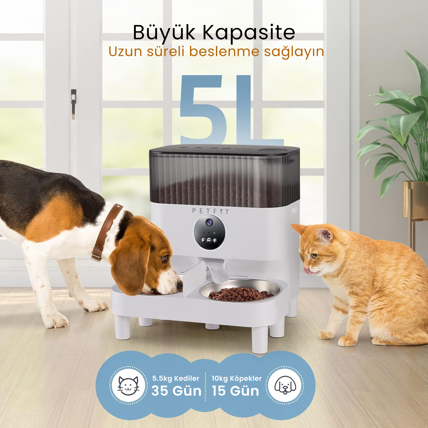 PETFİT