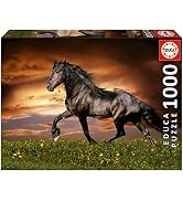 Educa 19555 Cheval 1000 At Au Trot, Çok Yönlü Kullanılabilir