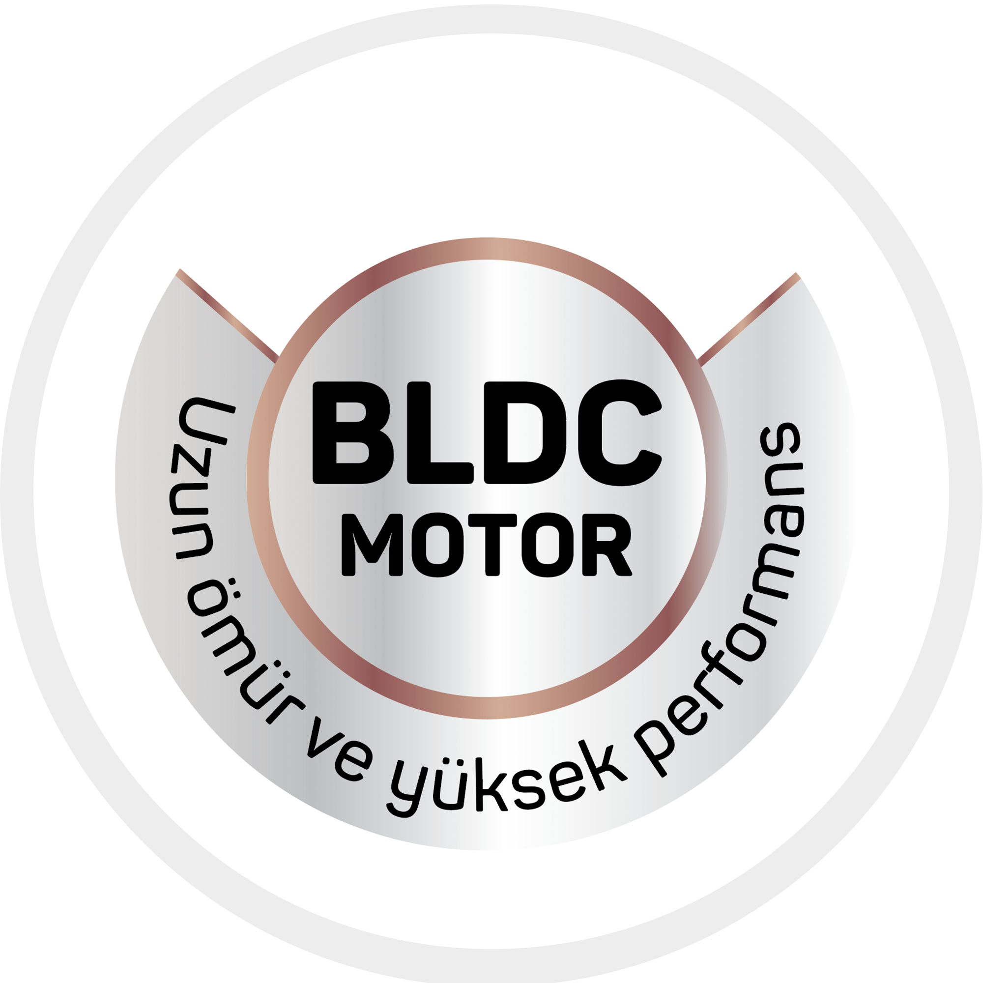 1500 W BLDC motor