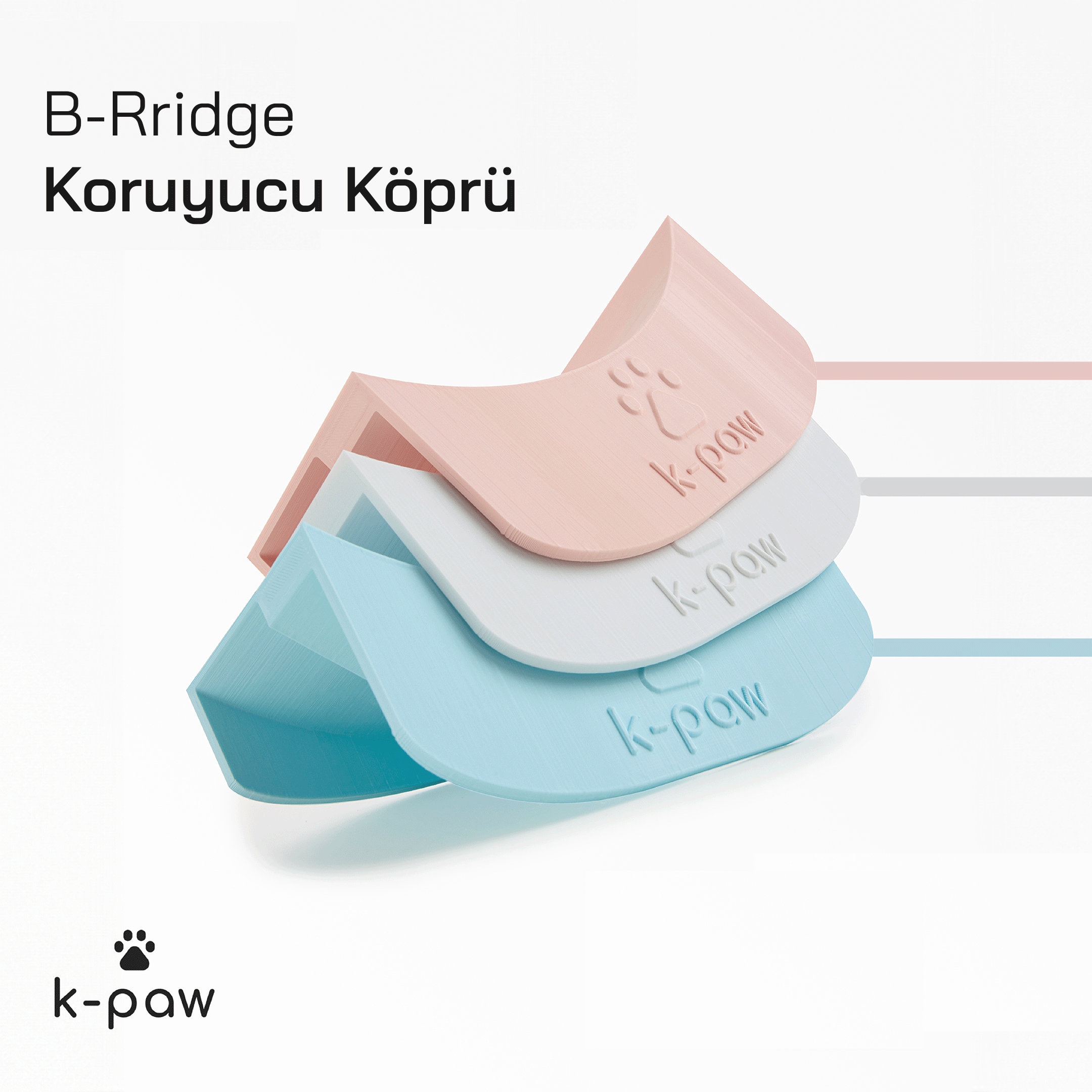 B-Ridge Koruyucu