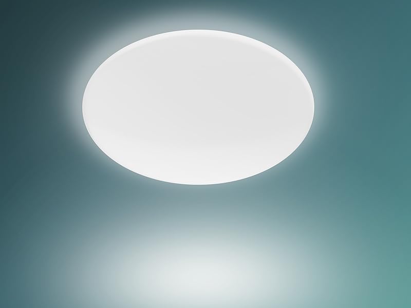 cl20