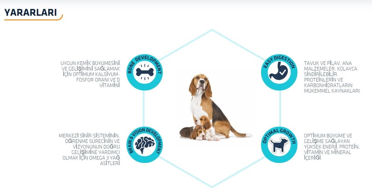 Advance Puppy Tavuklu Anne Yavru ve Hamile Köpek Maması 