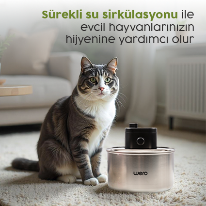 Sürekli Sirkülasyon