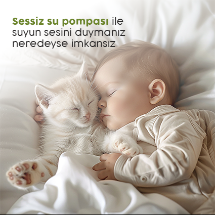 Sessiz Çalışma