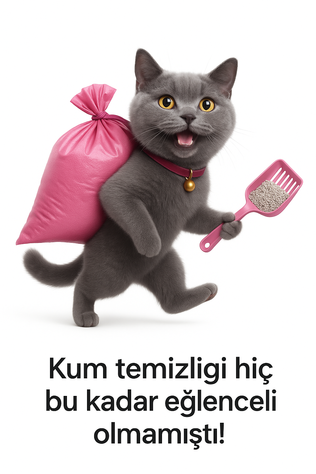 kedi-kumu-torbasi-boyutlari