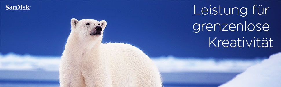 SanDisk Extreme Pro SD UHS-I hafıza kartı