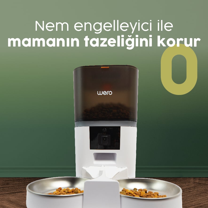Hep Taze Mama