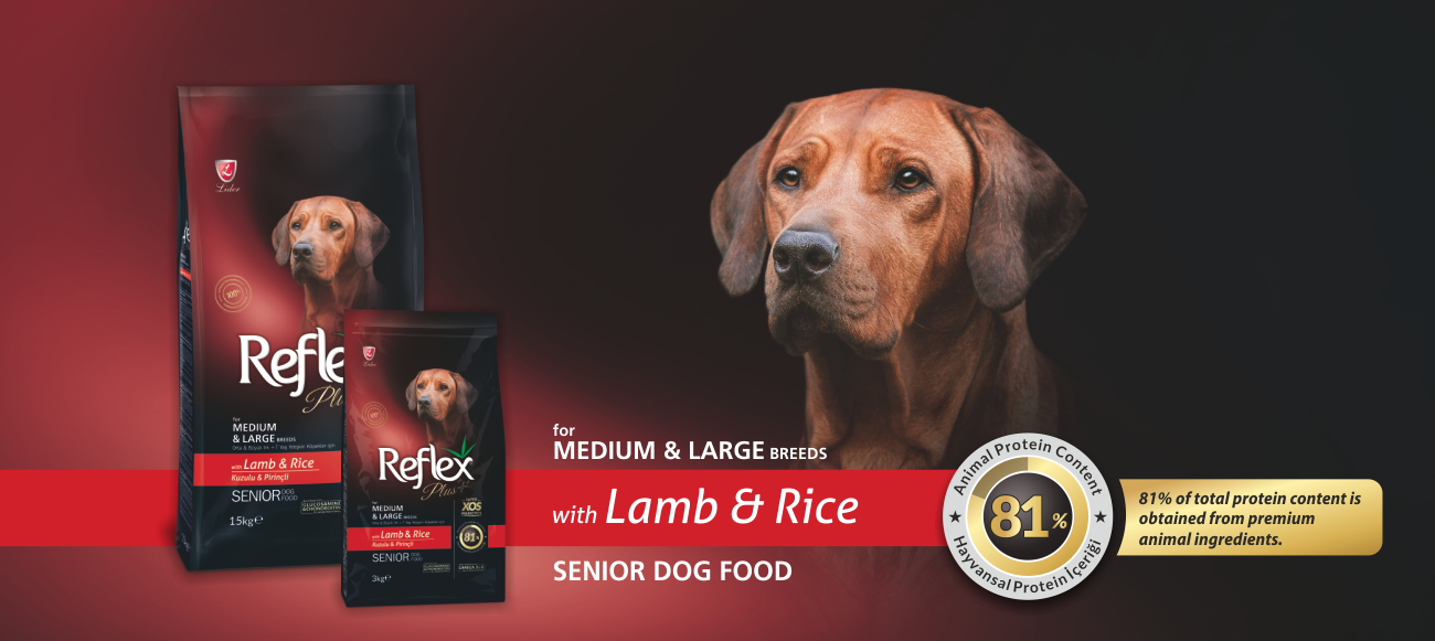 reflex plus kuzulu orta ve büyük ırk yaşlı köpek maması