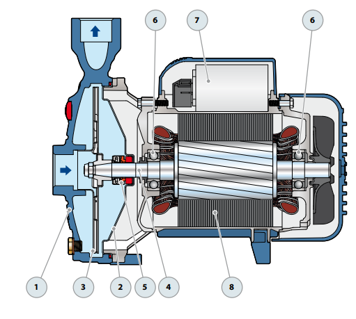 Pedrollo CPm 158 Tek Fanlı Santrafüj Pompa