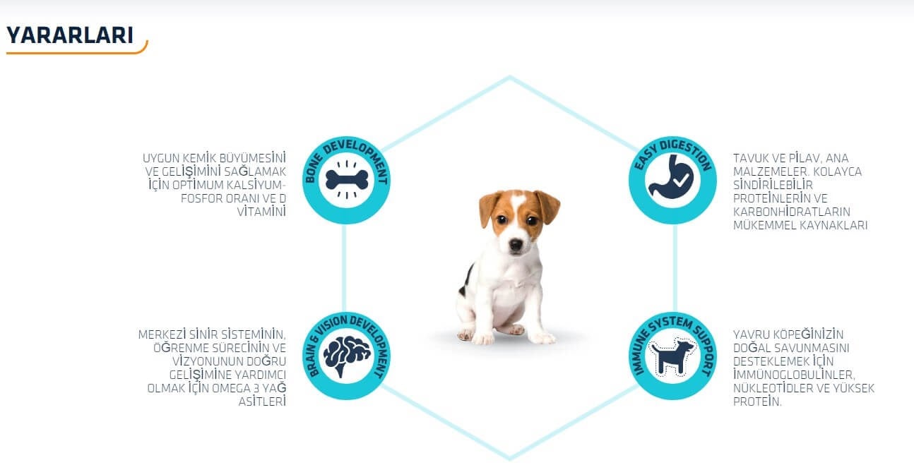 advance puppy mini tavuklu küçük ırk yavru köpek maması 