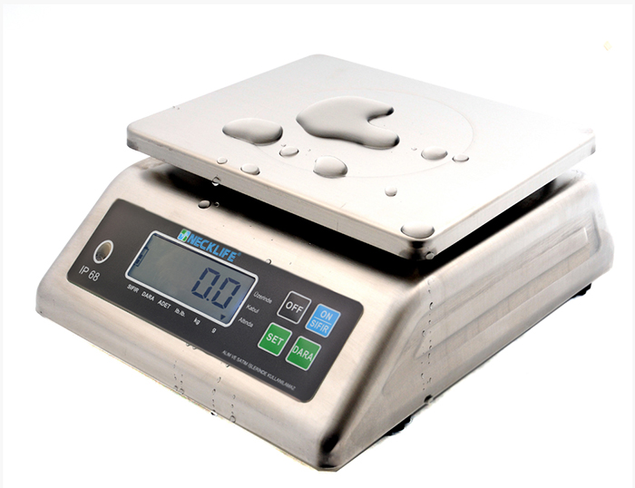 Agt S2 paslanmaz Terazi