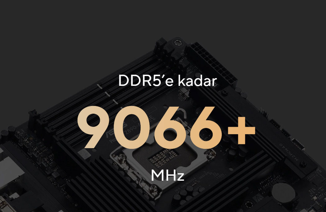 Pro WS Z890-ACE SE