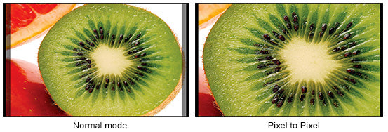 5 inç alan monitörü