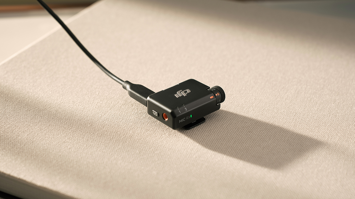 Mic Mini