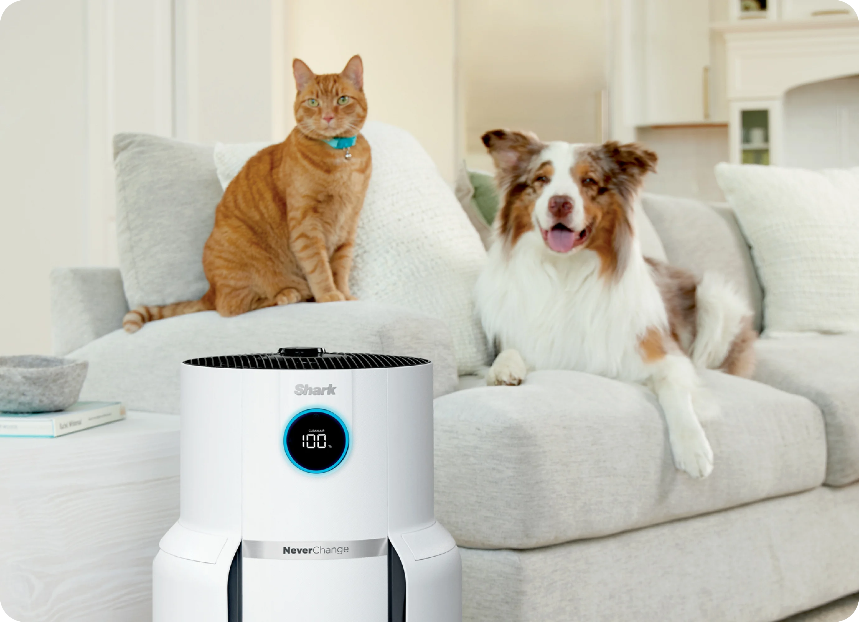 prapazar.com pazaryeri hepsiburada entegrasyonu