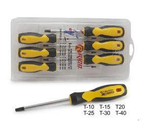 Rico Delikli Torx Tornavida Seti