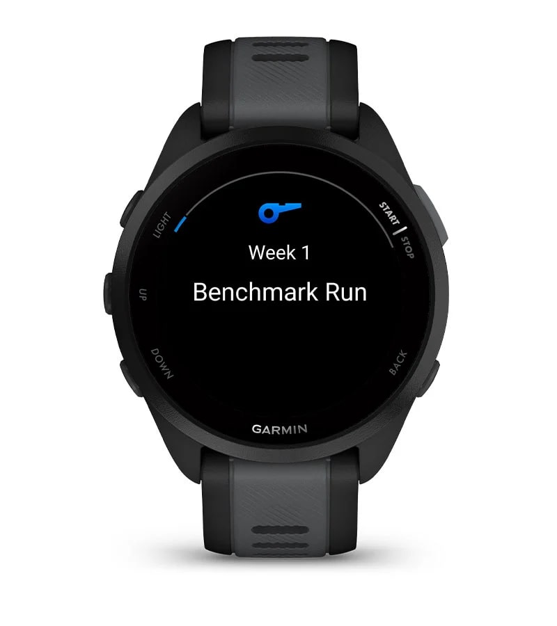 Garmin Forerunner 255
