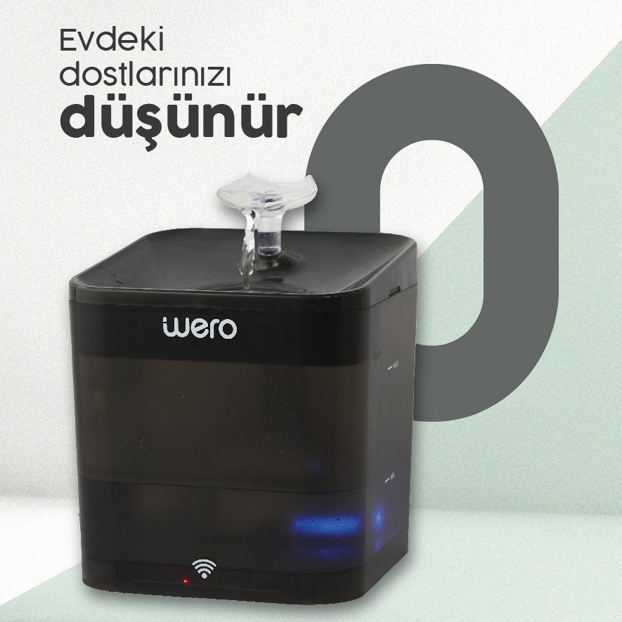 Evcil Hayvanlarınız İçin Güvenli ve Sağlıklı