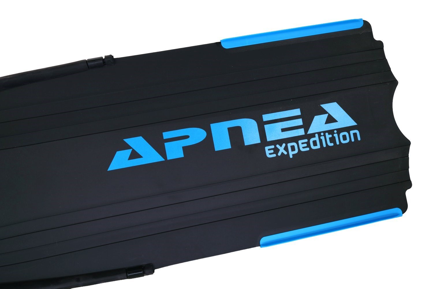 apnea expedition serbest dalış paleti