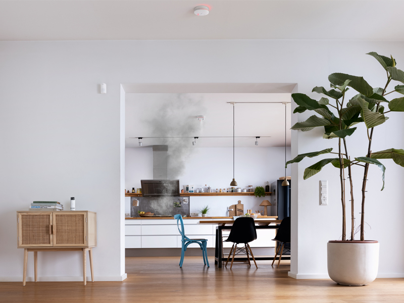 Duman Dedektörü II