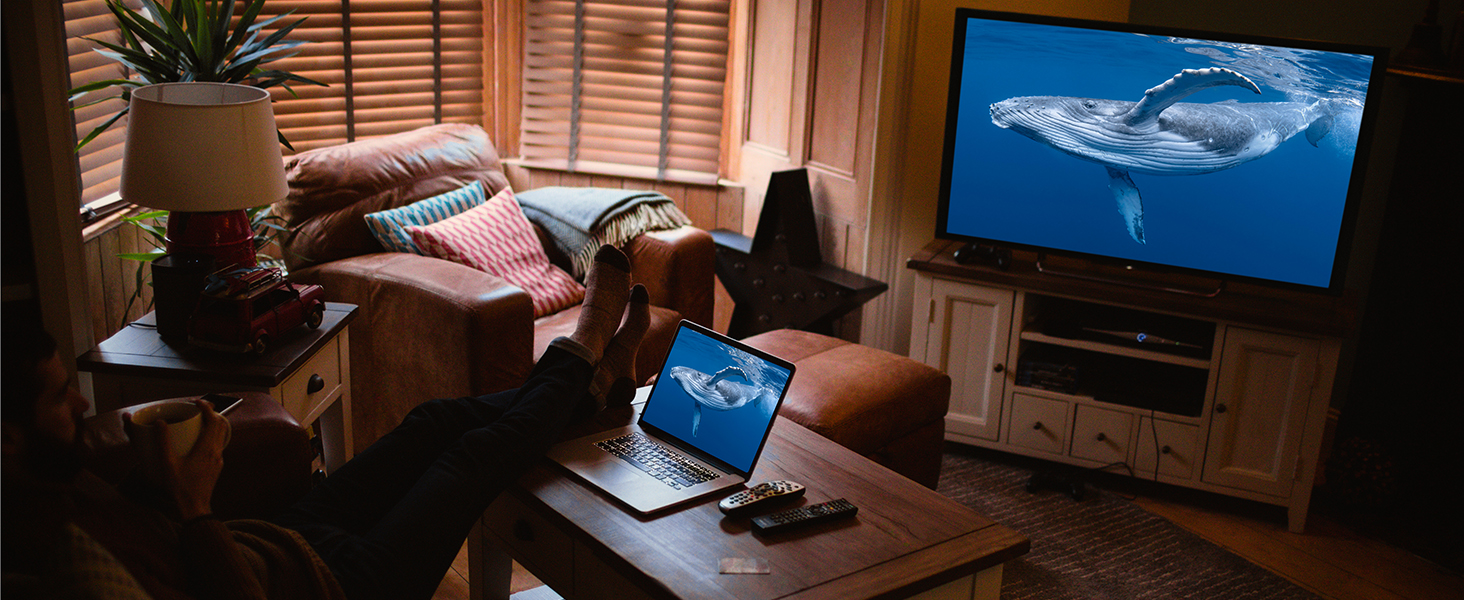 hdmi to displayport adapter