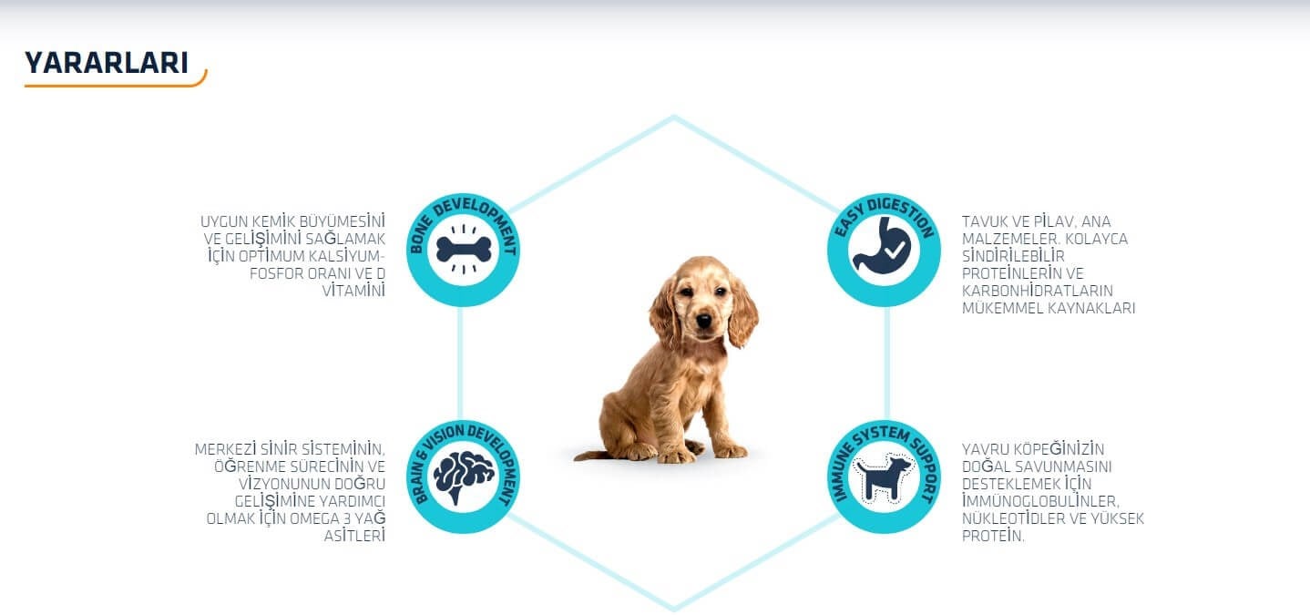Advance Puppy Medium Tavuklu Orta Irk Yavru Köpek Maması 