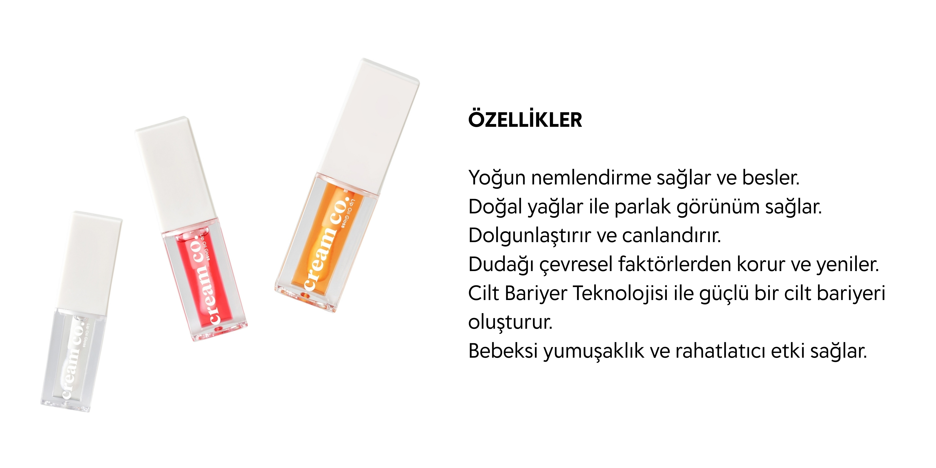 ResimLink - Resim Yükle