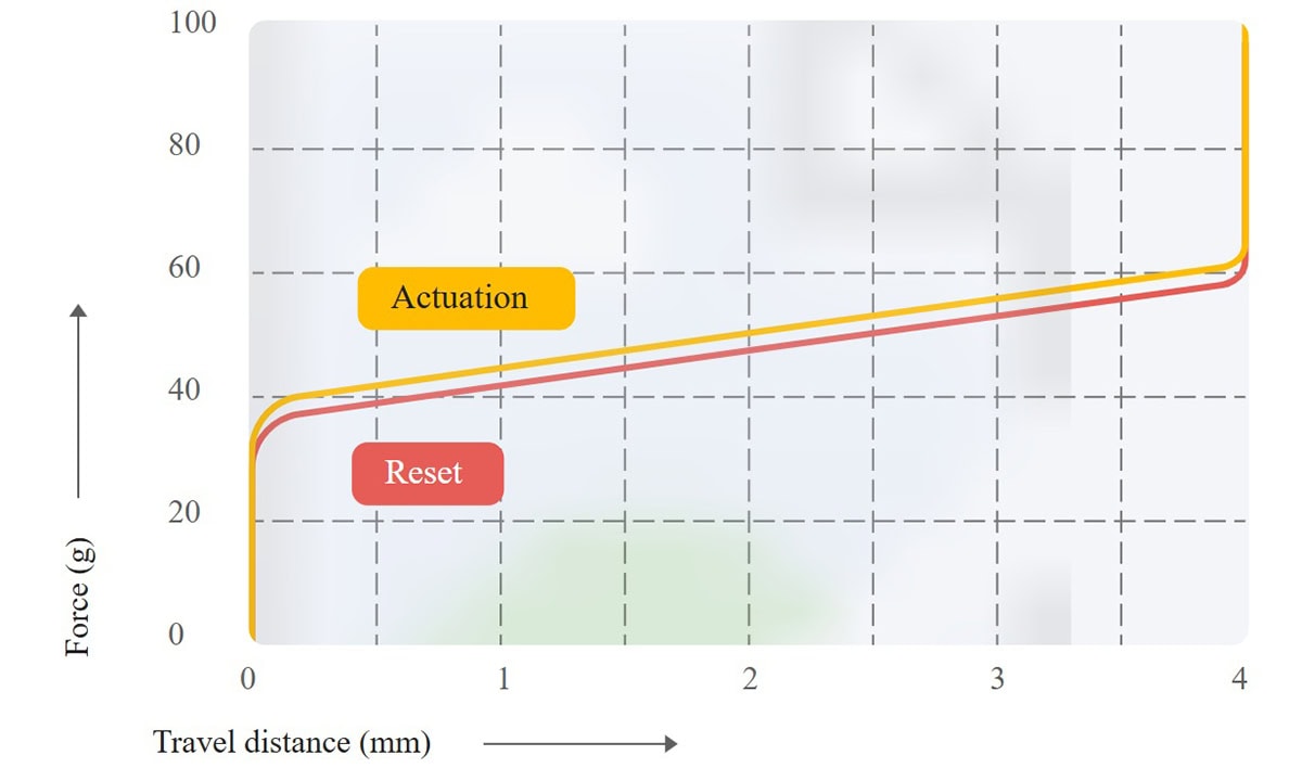 Lekker Switch Özellikleri