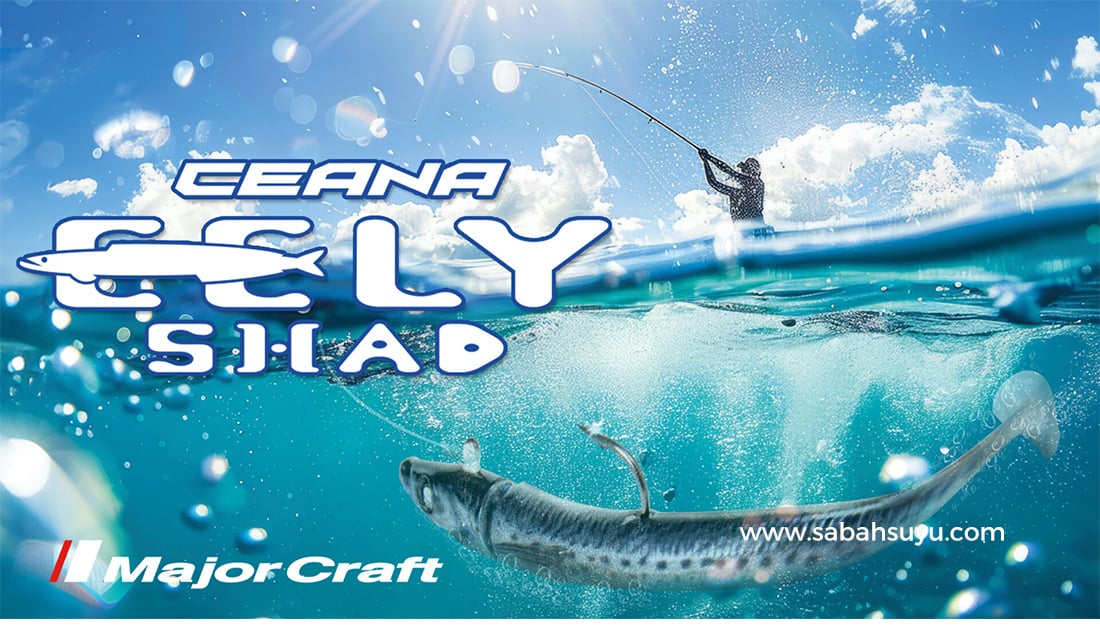 ““Major_Craft_Ceana_Eely_Shad_stabi_shad_1””